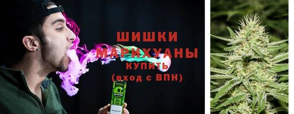 твердый Заводоуковск