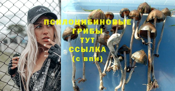 молекула духа Заволжск