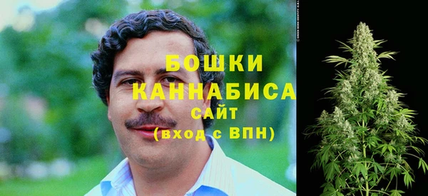 молекула духа Заволжск