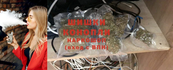 твердый Заводоуковск
