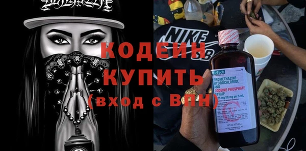 твердый Заводоуковск